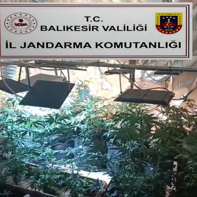 Balıkesir'de jandarmadan uyuşturucu serasına çevrilen evlere baskın: 12 göz...