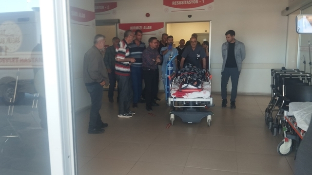 Sivas'ta ayının saldırdığı çoban yaralandı
