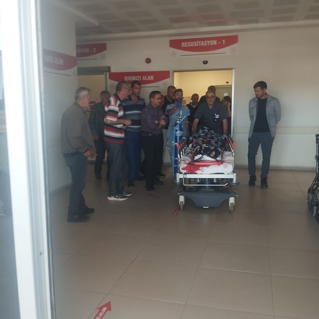 Sivas'ta ayının saldırdığı çoban yaralandı