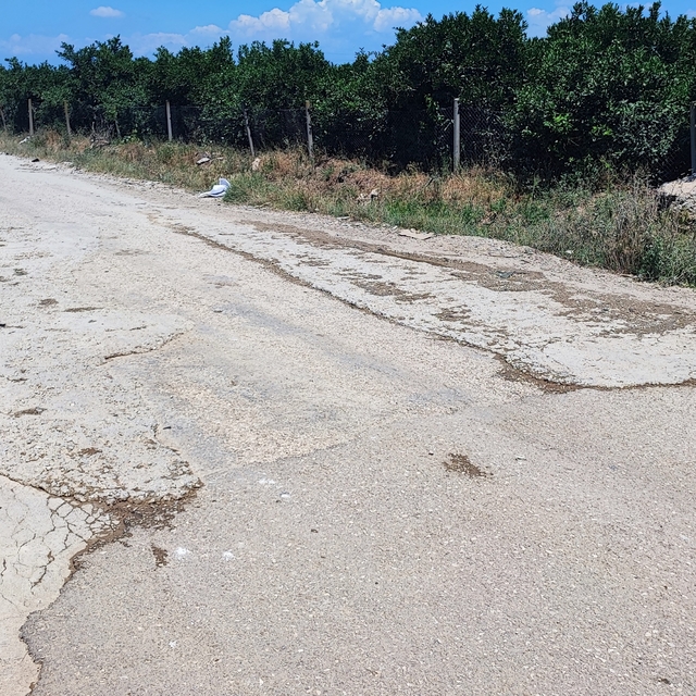 Vatandaş belediyeden umudu kesince cebinden para verip çukura beton döktü
