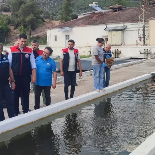 Bozdoğan'da su ürünleri üretimi 3 bin 696 tona ulaştı