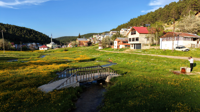 Galeri