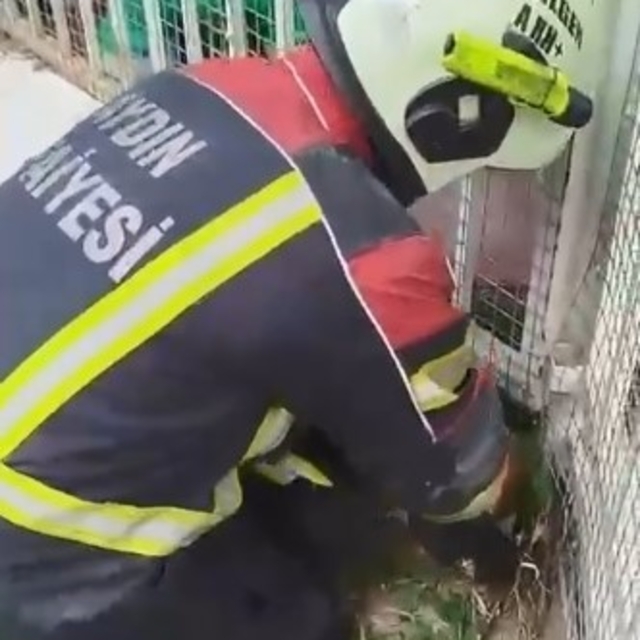 Aydın itfaiyesinden kirpi operasyonu