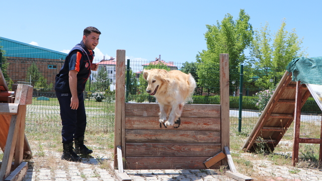 Galeri
