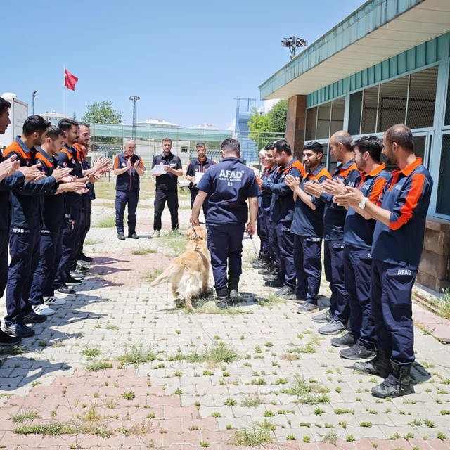 Emekliliği beklenen kahraman köpek 'Köpük', 9 yaşında grup ikincisi oldu