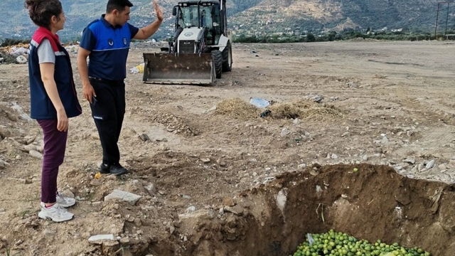 Bozdoğan'da hastalıklı ilekler imha edildi