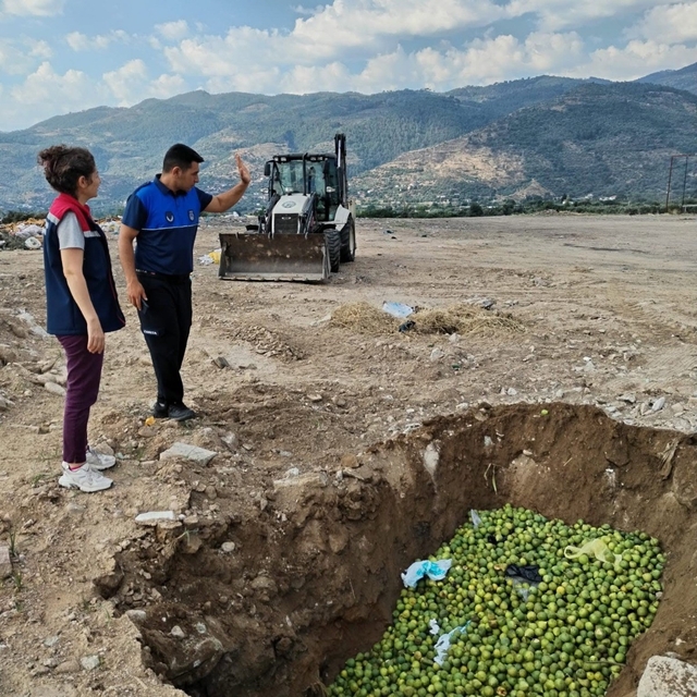 Bozdoğan'da hastalıklı ilekler imha edildi