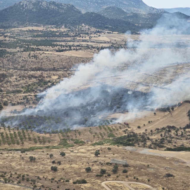 Çanakkale'de orman yangını kontrol altında