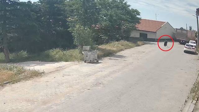 Kamyonun çarptığı yaşlı kadın hayatını kaybetti: Feci kaza kamerada