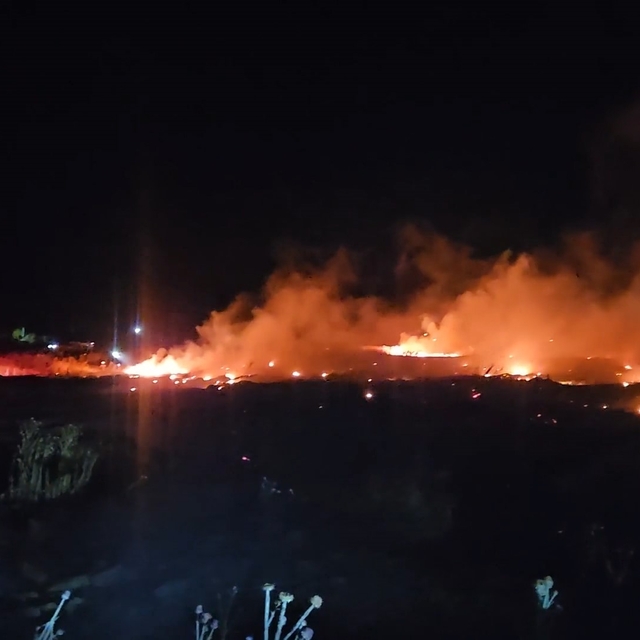 Burhaniye'de korkutan örtü yangını