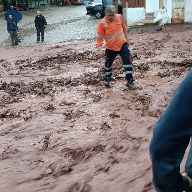Artvin'de sağanak sonrası dereler taştı