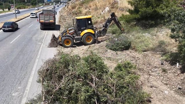 Aydın Orman İşletme'den yangınlara karşı yol kenarı temizliği