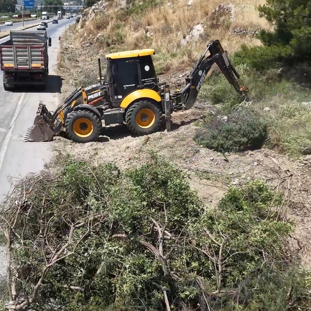 Aydın Orman İşletme'den yangınlara karşı yol kenarı temizliği