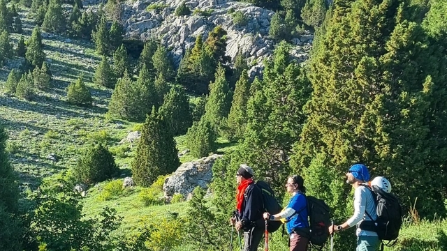 Galeri