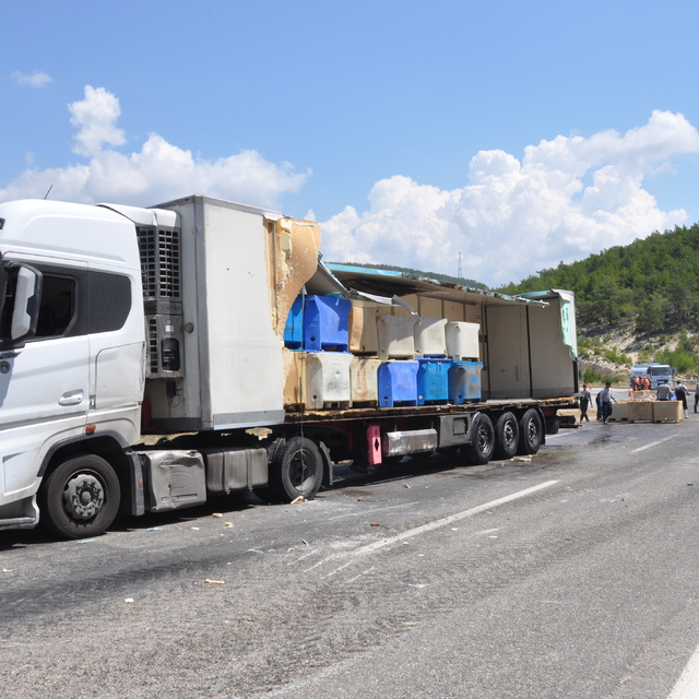 Mersin'de dorsesi kırılan tırdaki balık atıkları yola saçıldı