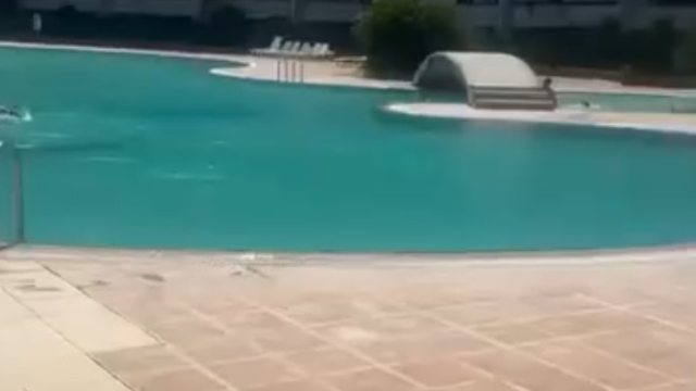 Mersin'de bir kadının haşema ile havuza alınmadığı iddiası