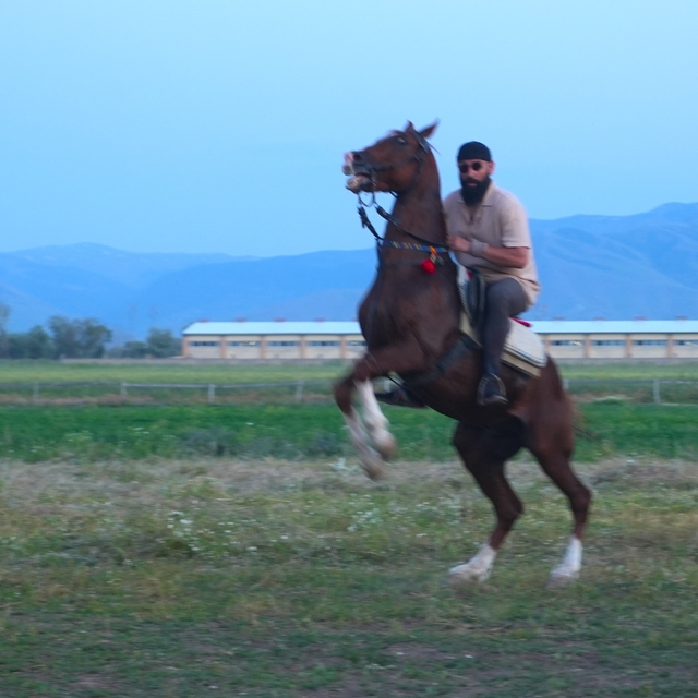 "Mehmet: Fetihler Sultanı" oyuncusu Mustafa Kaya, Muş'ta film atlarını hazı...