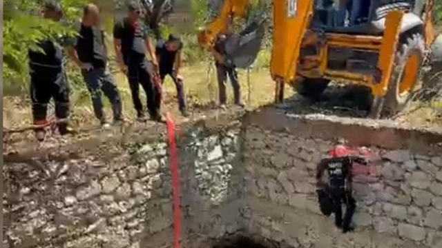 Malatya'da sulama havuzuna düşen inek, halatla çıkarılıp kurtarıldı