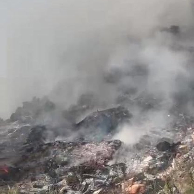 Çöp döküm alanındaki yangın ormana sıçradı