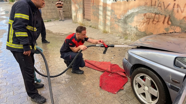 Siirt'te park halindeki otomobil alev aldı