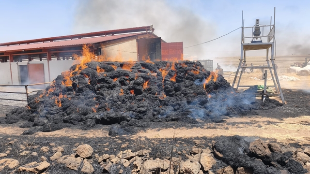 Mardin'de çıkan saman, ot, anız ve ekin yangınları söndürüldü