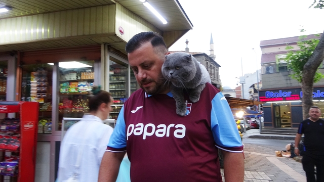 Kayıp kedi 'Tom' 4 gün sonra bulundu