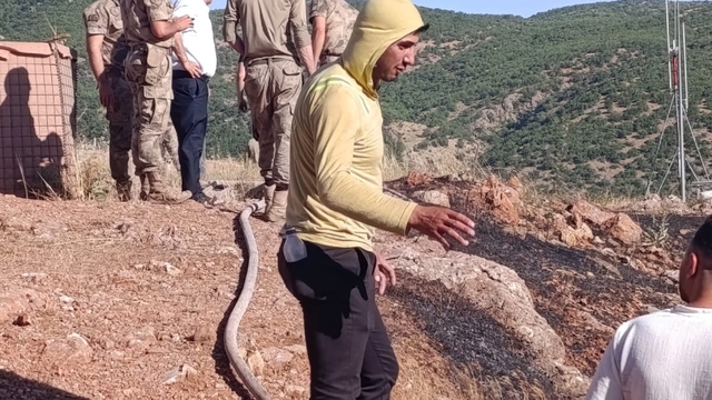 Siirt'te çıkan yangın ekiplerin müdahalesiyle söndürüldü
