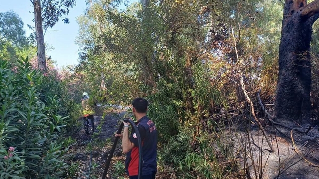 Hassa'da bahçe yangını