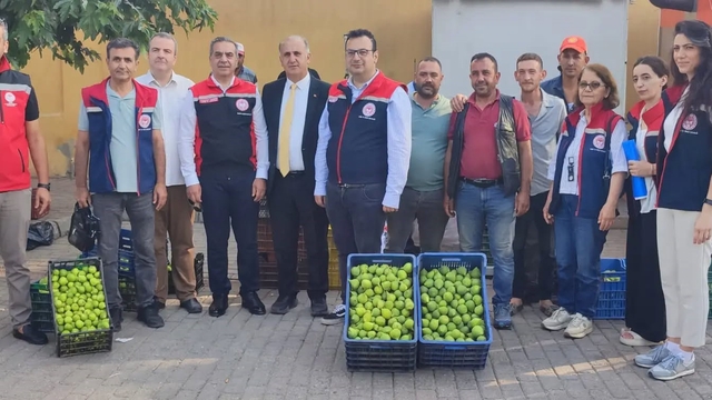 Aydın'ın dünya markası inciri için sahada yoğun mesai
Kaliteli incir için ilek denetimleri sürüyor