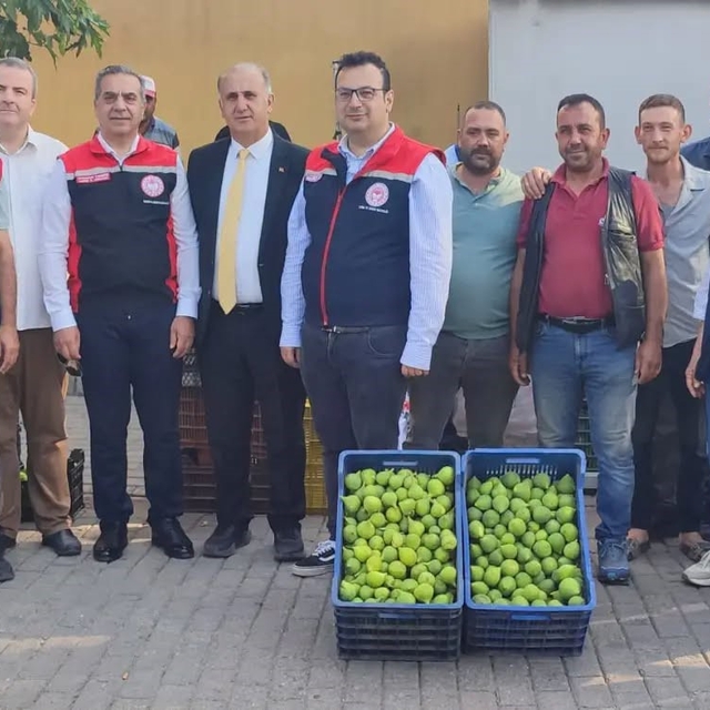Aydın'ın dünya markası inciri için sahada yoğun mesai
Kaliteli incir için i...
