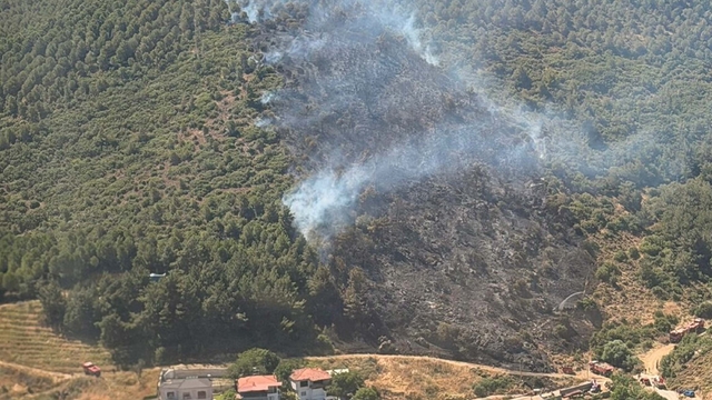 Balıkesir'de orman yangını