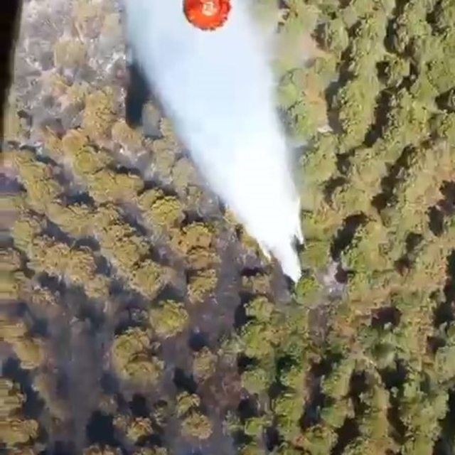 Balıkesir'de orman yangını
Yangına havadan ve karadan etkin müdahale başlat...