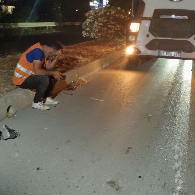 Kızını YKS'ye götürmek için yola çıktı, feci kazada hayatını kaybetti
Tur a...