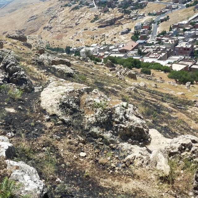 Mardin'de ormanlık alanda çıkan yangın söndürüldü