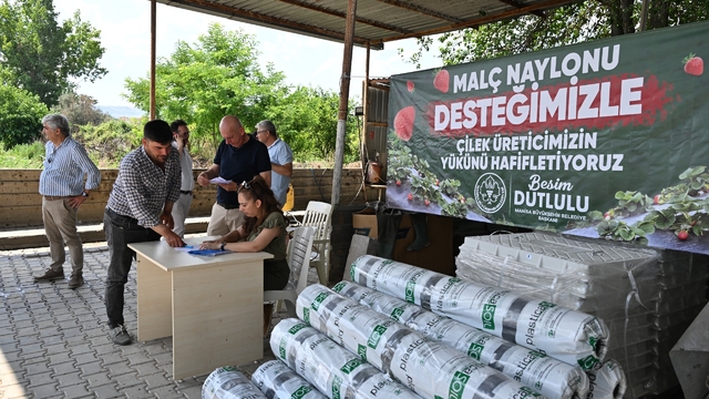 Manisa Büyükşehir'den çilek üreticilerine malç naylonu desteği