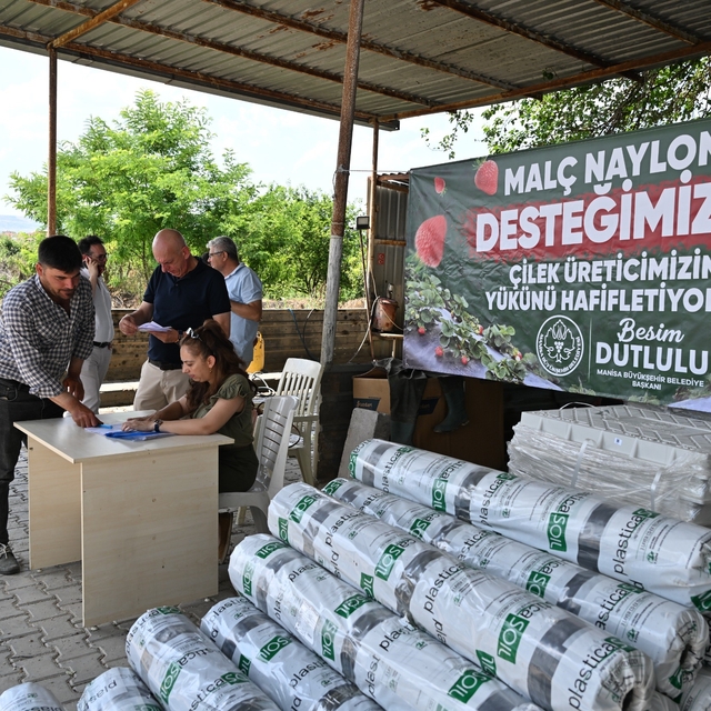Manisa Büyükşehir'den çilek üreticilerine malç naylonu desteği