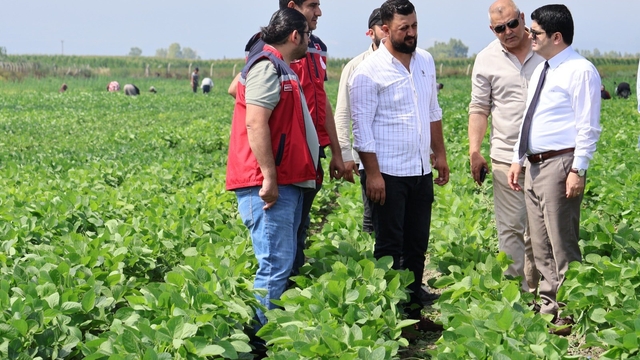 Arsuz'da soya ekimi yapıldı