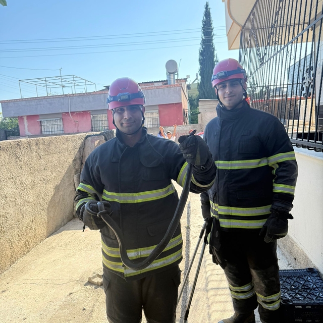 Adana'da evin bahçesine giren yılan doğaya bırakıldı