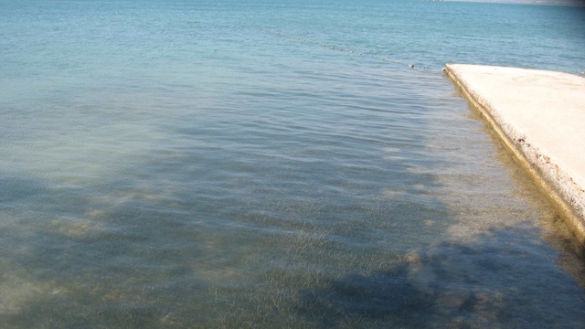 Didim'in deniz suyu kalitesi dikkat çekti
