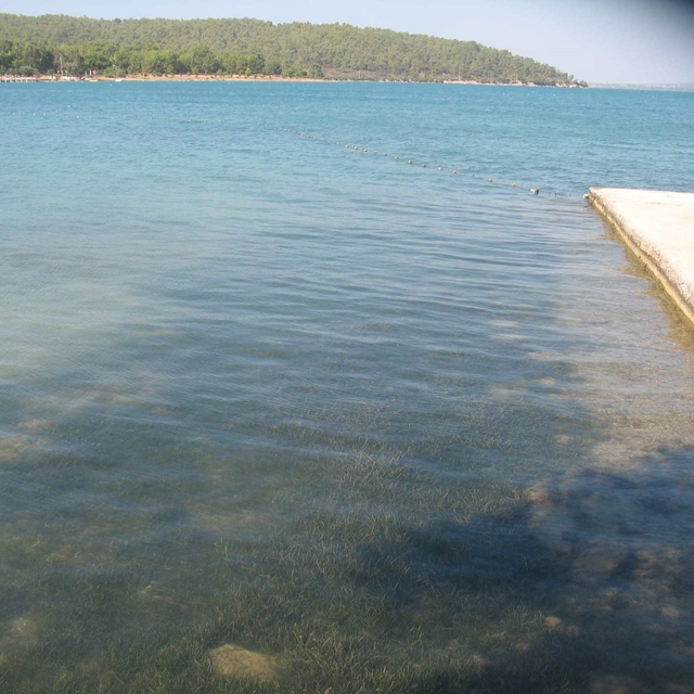 Didim'in deniz suyu kalitesi dikkat çekti
