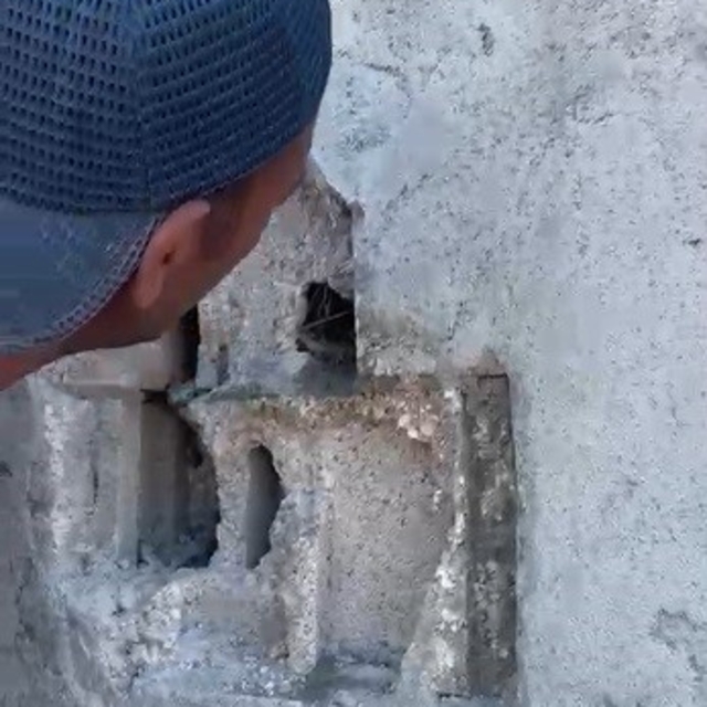 Kars'ta sıva altından gelen ses hayat kurtardı: Usta duvarı kırıp kuş yavru...