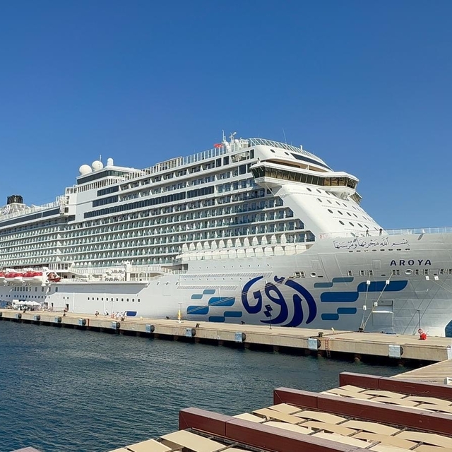 Bodrum'a "Aroya" kruvaziyeriyle 1489 turist geldi