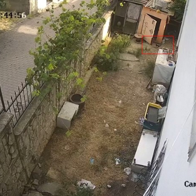 Karganın yumurta hırsızlığı kameraya yansıdı