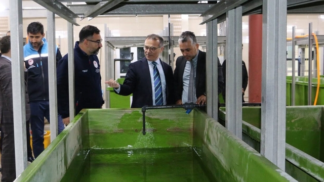 Abant Gölü'ne 100 bin endemik Abant alası bırakıldı