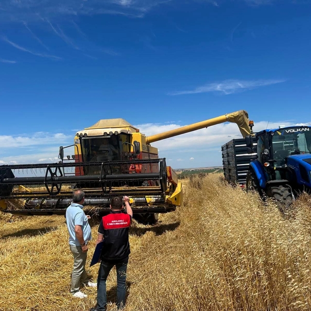 Kırklareli'nde hasat döneminde biçerdöver denetim