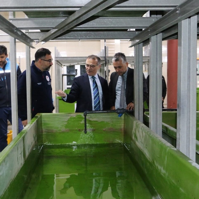 Abant Gölü'ne 100 bin endemik Abant alası bırakıldı