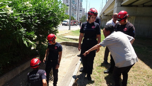 Düştü diye ihbar ettiği babası bile düşmediğine ikna edemedi
Yaşlı karı-kocanın cadde üzerinde bulunan gider borusuna düştüğü ihbarı ekipleri alarma geçirdi
Telefonla ulaşılan yaşlı adamın eşi ile birlikte evde olduğu öğrenilirken, ihbarı yapan oğlunu telefonda görüştüğü babası bile ikna edemedi