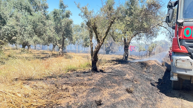 Korkutan arazi yangını 1 saatte kontrol altına alındı