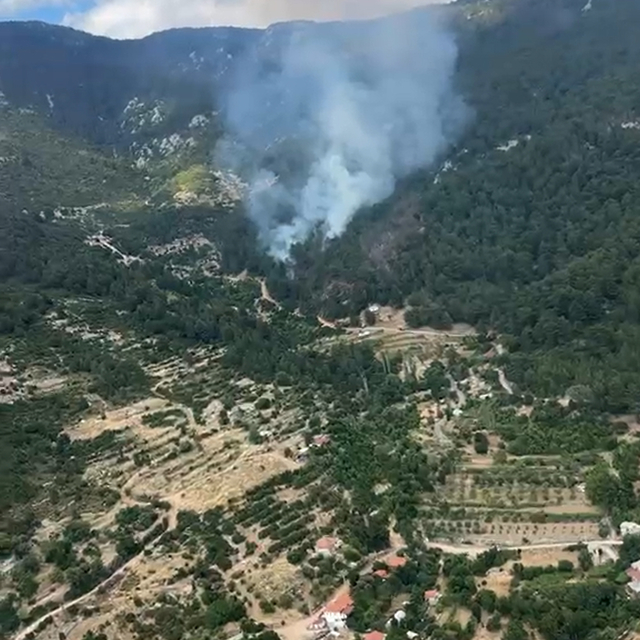 Antalya'da orman yangını havadan ve karadan müdahaleyle kontrol altına alın...