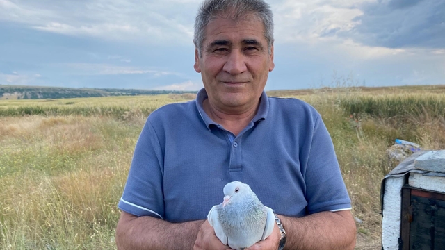 43 yıldır süren güvercin tutkusu
Özenle beslediği güvercinlerini yarışlara hazırlayan Kemal Avcı,
"Güvercinlerime 50 bin lira teklif edenler oldu, ama satmıyorum"